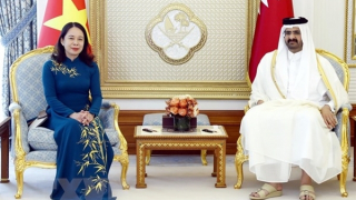 Phó Chủ tịch nước Võ Thị Ánh Xuân hội đàm với Phó Quốc vương Qatar