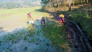 Thừa Thiên - Huế: Tích cực phòng chống cháy rừng và hạn hán do nắng nóng gay gắt