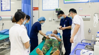 Tự chữa rắn cắn bằng đắp thuốc lá, nguy hại khôn lường