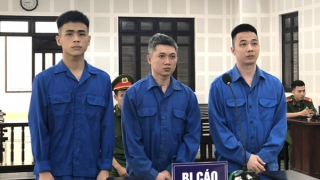 Trả giá vì tiếp tay cho người nước ngoài lừa đảo