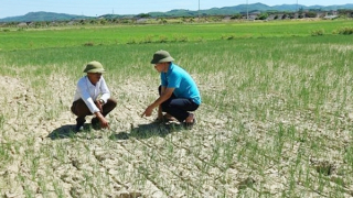 Hiện tượng El Nino sẽ gây nắng nóng kỷ lục