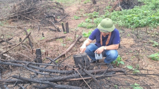 Kiểm điểm các đơn vị để xảy ra vụ cháy rừng tại xã Thanh Sơn