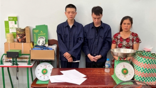 Triệt phá đường dây khép kín "quy trình" trồng - đóng gói - tiêu thụ cần sa