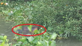 Đi giăng lưới, phát hiện thi thể nam giới nổi trên sông Tiền