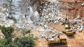 Xử phạt công ty bạt núi, phá rừng để làm trạm trung chuyển trâu bò