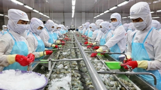 Áp dụng phòng vệ thương mại trong Hiệp định EVFTA và UKVFTA