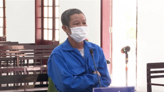 Chồng lãnh 9 năm tù vì tiêm thuốc trừ sâu vào người vợ