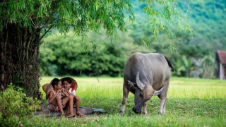 Miền Bắc dịu mát, Trung Bộ mưa giông diện rộng