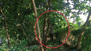 Nam thanh niên treo cổ tự tử dưới dạ cầu Cần Thơ