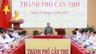 Cần Thơ tập trung thực hiện hiệu quả 3 động lực tăng trưởng