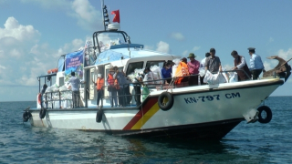 Thả 6 triệu con giống tái tạo nguồn lợi thủy sản ở vùng biển Cà Mau