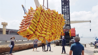 Nâng tầm nông, thủy sản vùng Đồng bằng sông Cửu Long