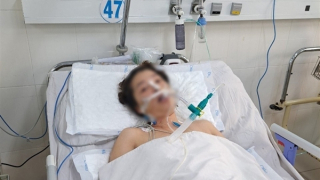 Hạ thân nhiệt chủ động, cứu sống bệnh nhân ngưng tim