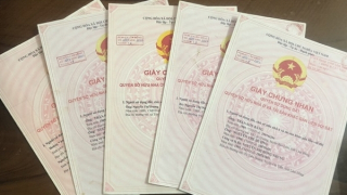 Nữ cán bộ địa chính sử dụng 10 "sổ đỏ" giả để lừa đảo
