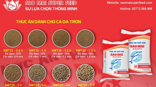 Sao Mai Super Feed - Kiến tạo dấu ấn trên thị trường thức ăn thủy sản
