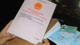 Dùng giấy tờ giả lừa đảo 2,2 tỷ đồng