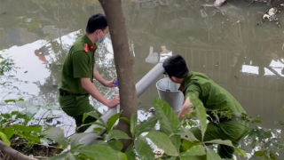 Xử phạt công ty sản xuất thức ăn chăn nuôi xả thải vượt ngưỡng 10 lần