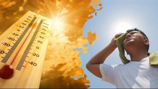 Phòng, chống say nóng, đột quỵ như thế nào?