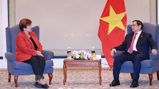 IMF: Việt Nam là ngôi sao sáng trên bầu trời kinh tế thế giới