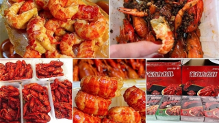 Tôm hùm đất gây hại nhập lậu bán tràn lan
