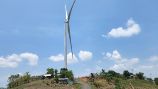 Hàng chục hộ dân ngóng từng ngày tiền bồi thường từ công ty điện gió