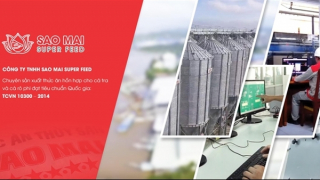 Sự lựa chọn thông minh cho đàn cá khỏe