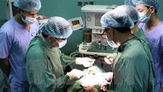 Tuân thủ quy định nhưng không được làm gián đoạn việc ghép gan cho trẻ em