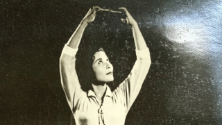 Hồi ức Phi Điểu - cánh chim đã đậu giữa yên bình