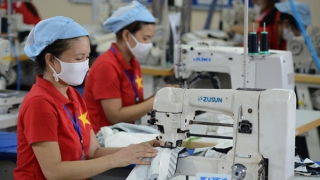 Doanh nghiệp tiếp tục mất đơn hàng nếu không “xanh hóa” kịp thời