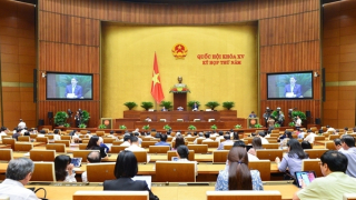 Bảo vệ người tiêu dùng giữa sự bủa vây của những thông tin giả