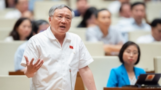 Xem xét nghĩa vụ người tiêu dùng kiện không đúng, gây mất uy tín nhà sản xuất