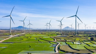 52/85 nhà máy điện mặt trời, điện gió chuyển tiếp đã nộp hồ sơ đến EVN