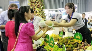 Khắc phục điểm yếu để nông sản Việt vươn xa