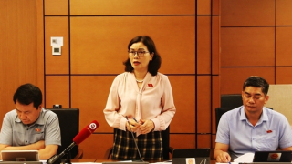 Tăng thời hạn cấp thị thực điện tử được đại biểu Quốc hội ủng hộ, đánh giá cao