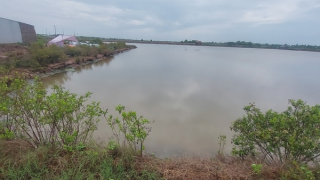 Hai chị em đuối nước thương tâm khi tắm ao sau nhà