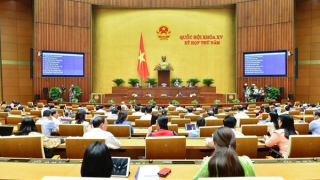 Khởi tố  161 bị can trong 2 vụ Việt Á và "chuyến bay giải cứu"