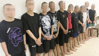 Khi “báo con” lấy số