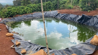 Lao xuống hồ nước cứu cháu, hai bà cháu tử vong