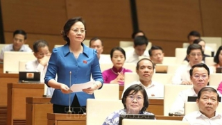 Lawmakers look into socio-economic affairs