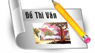 Học văn kiểu gì?