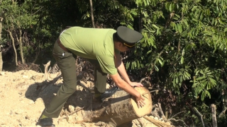 Phát hiện vụ phá rừng tự nhiên quy mô lớn tại miền Trung