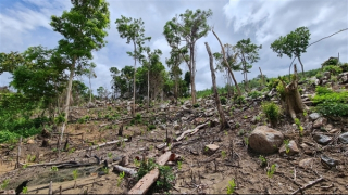 Công bố quyết định thanh tra vụ việc được phản ánh trên Báo CAND