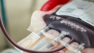 Tạm dừng cung cấp máu do đấu thầu khó khăn, Bộ Y tế chỉ đạo khẩn