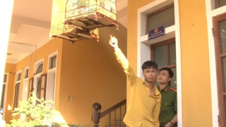 Có 7 tiền án, tiền sự vẫn đi trộm… chim cảnh