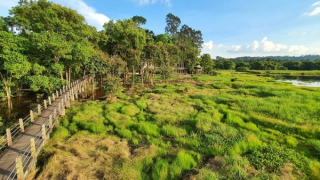 Đề xuất hủy giấy phép cuộc thi hoa hậu sinh thái “nhí”