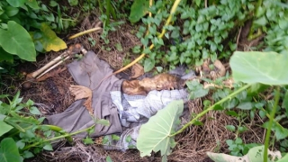 Phát hiện bộ xương người gần nơi người phụ nữ bị sát hại