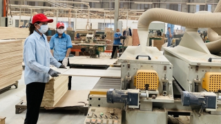 Hỗ trợ doanh nghiệp và người lao động ổn định sản xuất, bảo đảm việc làm