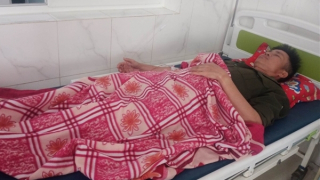 Nhân viên bảo vệ rừng bị đánh phải nhập viện