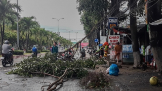 Giông lốc làm ngã, gãy nhiều cây xanh trên Quốc lộ 57