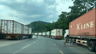 Báo cáo Thủ tướng các biện pháp cấp bách giảm ùn tắc nông sản tại cửa khẩu